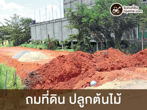 ถมที่ดิน ปลูกต้นไม้ เพื่ออะไร